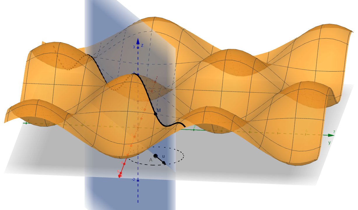 infographie sur la dérivée directionnelle